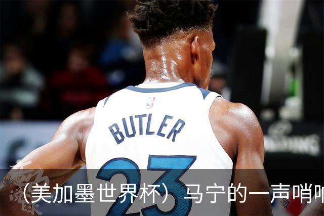 （美加墨世界杯）马宁的一声哨响，中国足球的另一种抵达